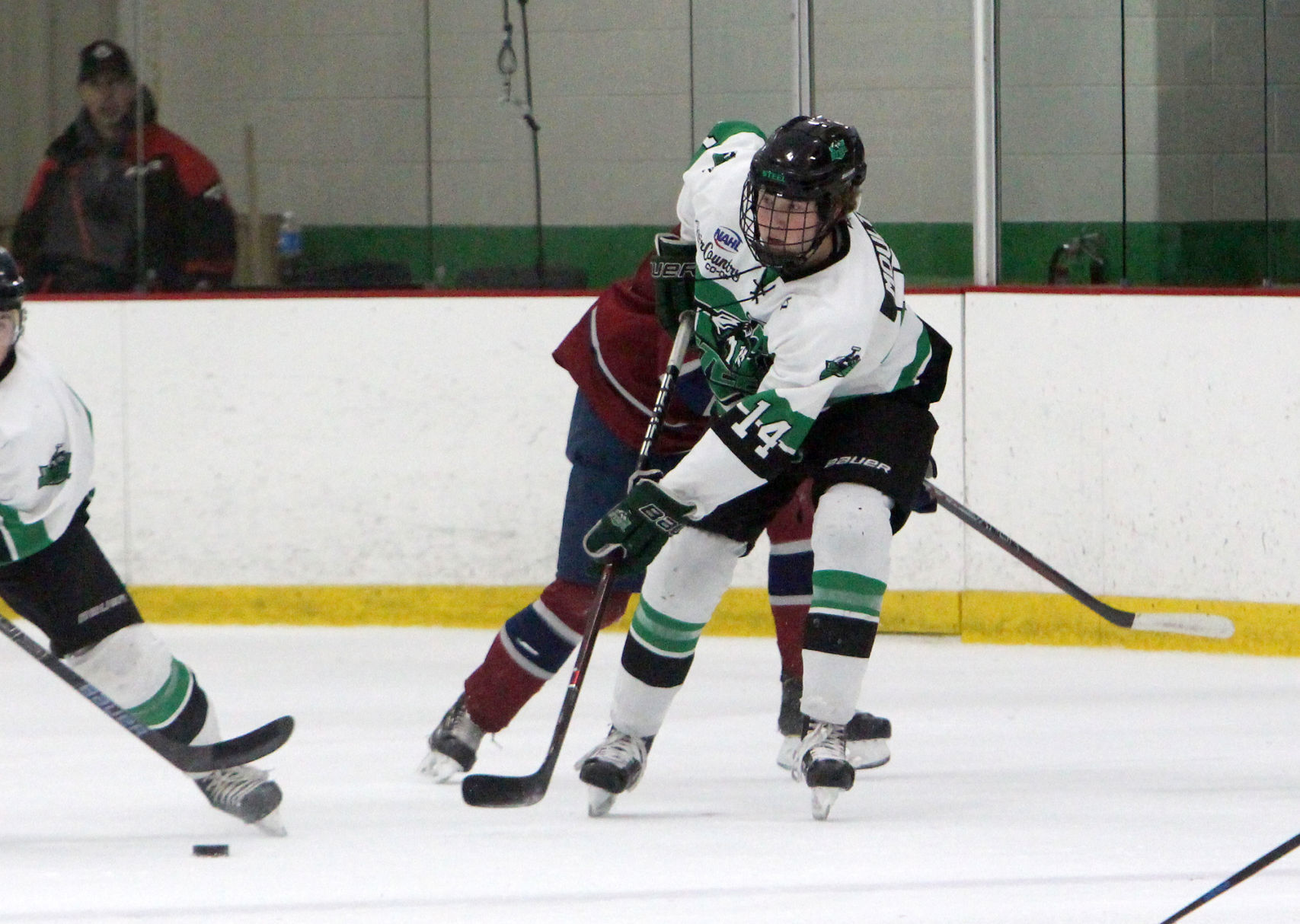Fairbanks Ice Dogs at Chippewa Steel 12-29-18